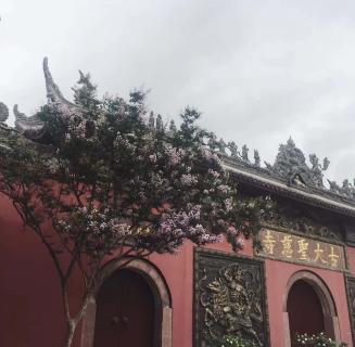 东升国际：助力公益活动建设，实现经济效益与社会效益的双赢！